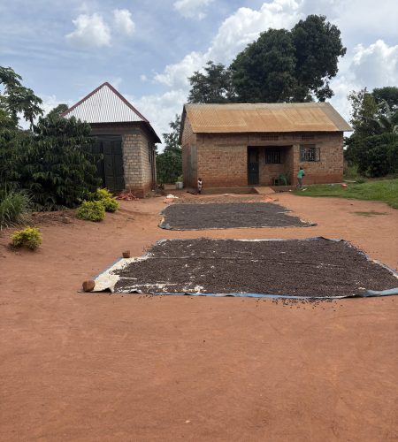 Toscano Coffee özel kavrum espresso çekirdekleri